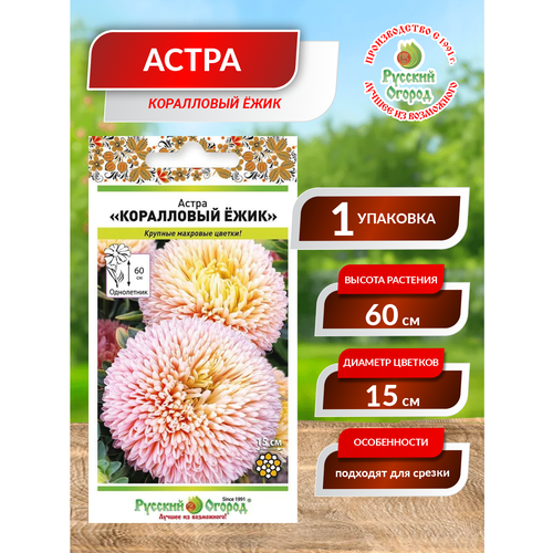 ���������� ����� ���������� ����