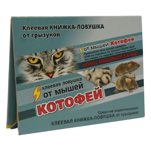 ���������� ������� ������� ���� ��������� ������� ������-������� (30 ��.�.) ������ 1 ��.