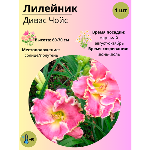 ���������� �������� ����� ����, ����������� ����� / ������ 1 ��