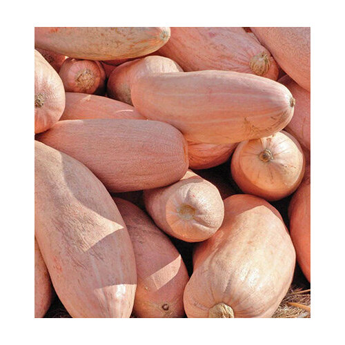 ���������� ����� ������� ����� (�� 5 �� 18 ��) 1 ��.