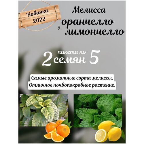 ���������� ������� ���������� � ��������� ������� ������ 2 ������ �� 5�� �����