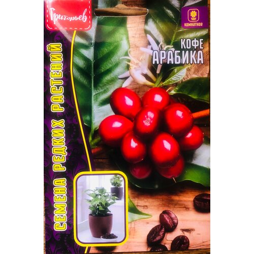 ���������� ������ ���� 