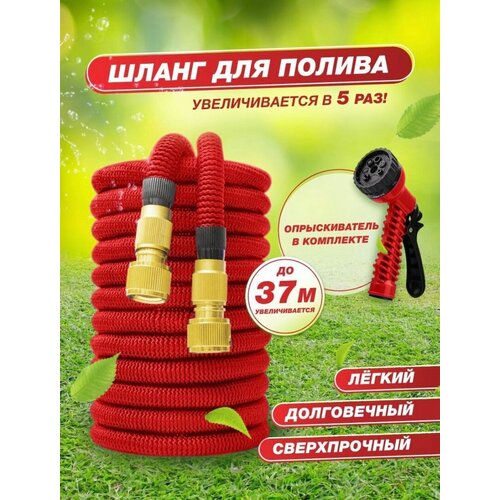 ���������� ����� ������� ������� ��������������� 37 ������ ��� ������ � ������������, � ������������� �����������\������� turbyshlang