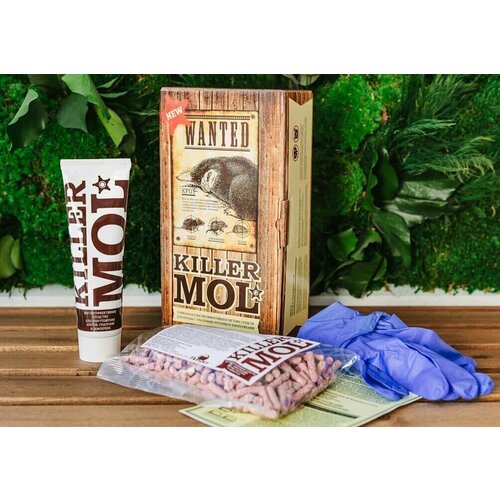 ���������� ������������ ������ ������ � �������� ������ ��� GARANT/TM ������ ������� ����� ��������