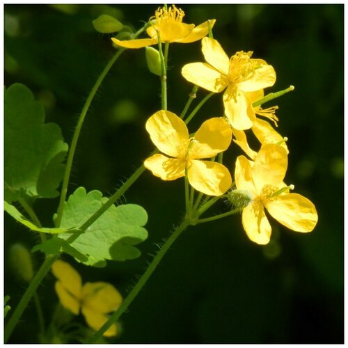 ���������� ������ ������ �������� ������� 30 ��.