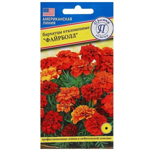 ���������� ������. �������� 