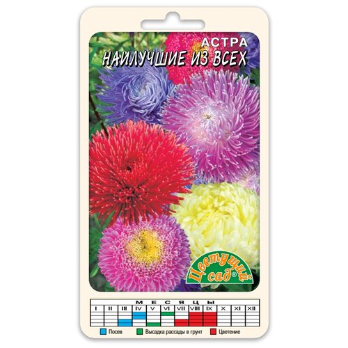 ���������� ������ �������� ��� 