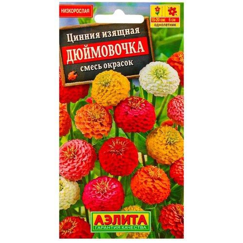 ���������� ������ ������ ������ 