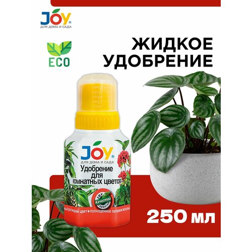       JOY, 250   , -, 