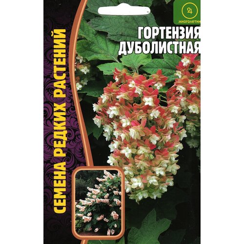 ���������� ��������� �����������, ����������� ( 1 ��: 20 ����� )