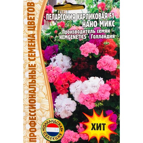 ���������� ������ ���������� ���������� 