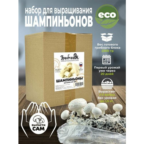 ���������� ����� ��� ����������� ������ ����������� �������� �������� �������