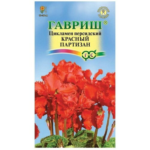 ���������� ������ ������ �������� 