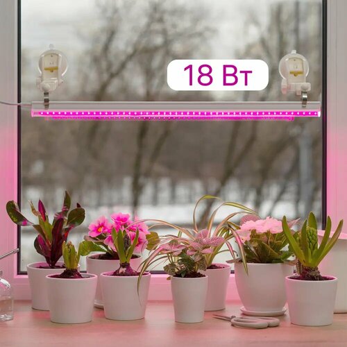 ���������� �������������� �������� ������������ Ritter Planta �5/G5 18�� 1180 �� ������ 2� � ������������ �� ������� ���� �����