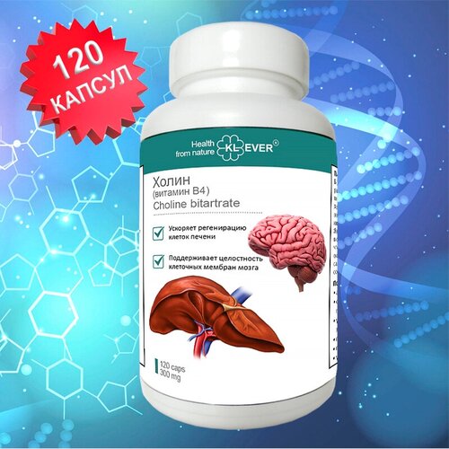 ���������� ����� (������� �4). 120 ������. ��� ������ / ������� / ��� �����