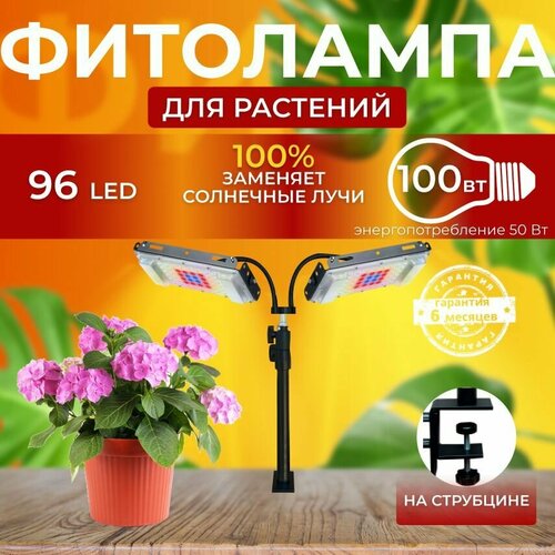 ���������� ��������� ��� ����������� �������� ������� ������ ������ �������������� ������������, 2 ����� ���������� ��� ������ �� ������������ �������, ��������� ���������