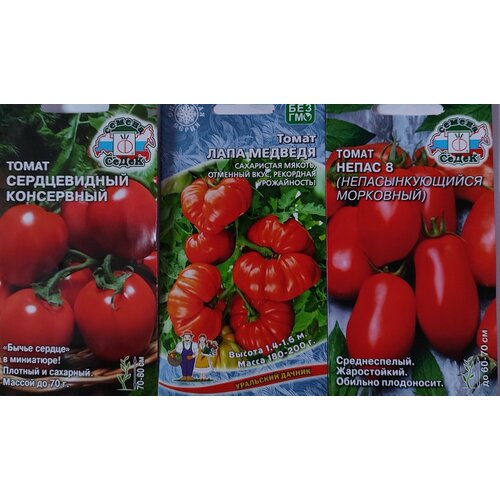 ���������� ����� �� 3� ����� ����� ������ ������� ����� ����������