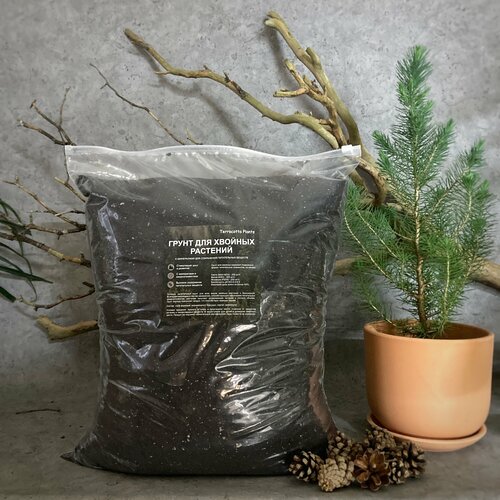 ���������� ������� ����� ��� ������� �������� � �������� 15 ������ �� Terracotta Plants