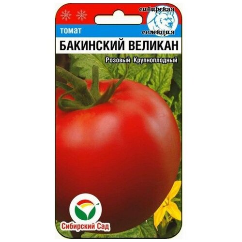 ���������� ��������� ������� 20�� ����� (��� ���)