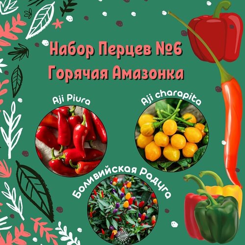 ���������� ����� ����� ������ 