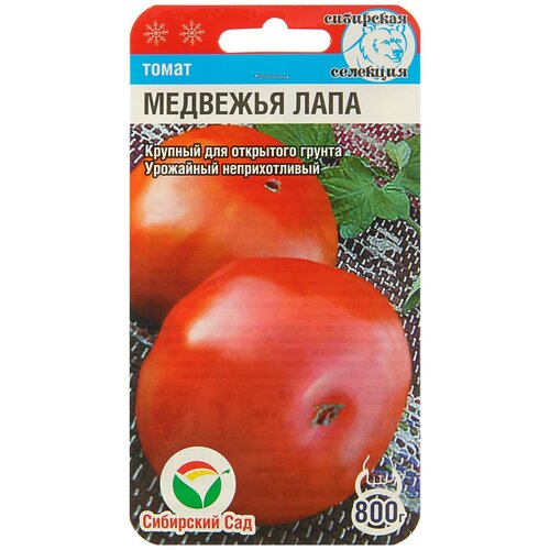 ���������� �������� ���� 20�� ����� (��� ���)