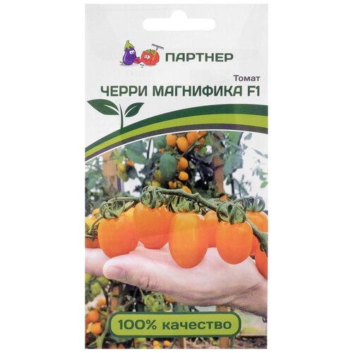 ���������� ������� ����� ����� 