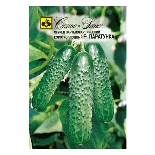 ���������� ������ ������ ��������� F1 5 �� (�����) (�����) 2��������