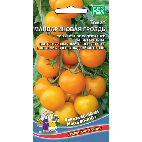 ���������� ������ ����� ������������ ������ 20�� ����� ������ (��������� ������)