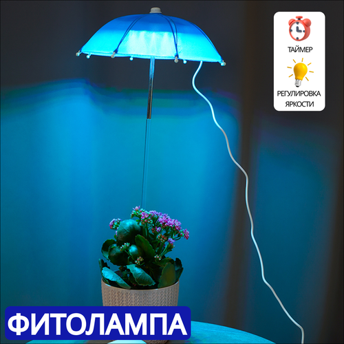 ���������� ��������� ��� ��������, ������ � �������