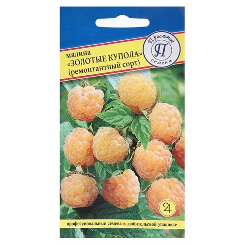 ���������� ������ ������� ������ ������ ������������ ������� ������ 10 ��