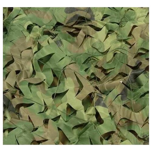 ���������� ���� �������������, ����� 