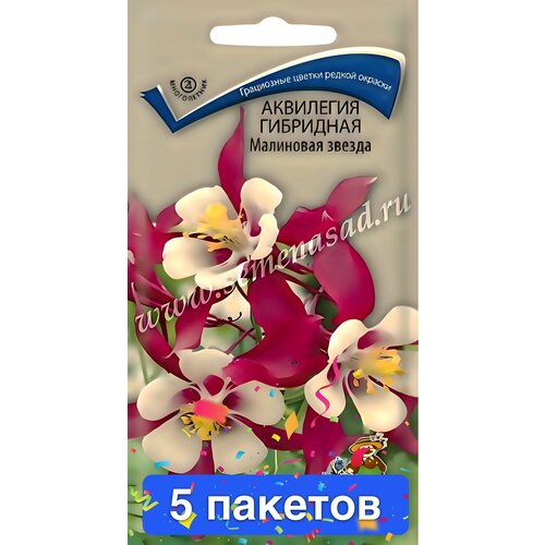 ���������� ������ ������ ����� 