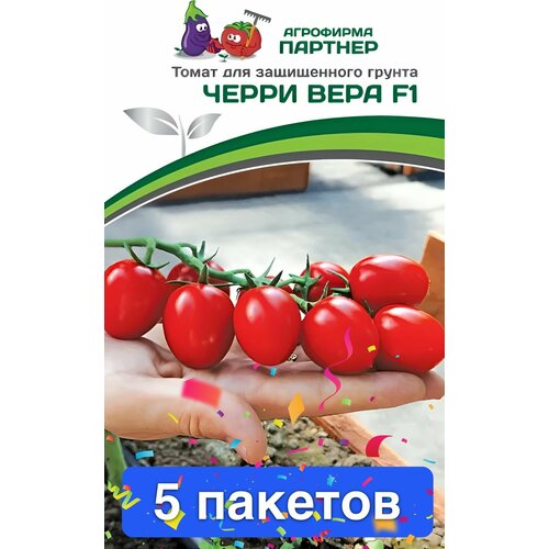 ���������� ������ ������ ��������� ������� 