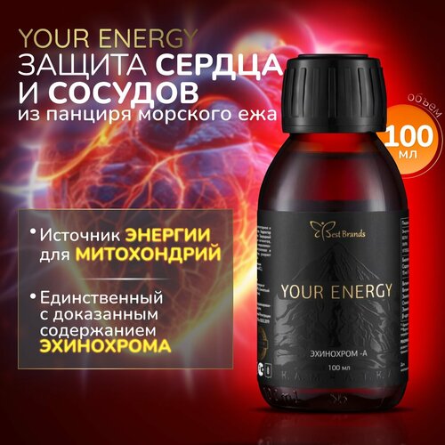   100 . (YOUR ENERGY).       ,   .   , -, 