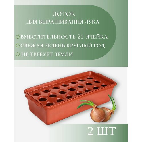 ���������� ����� ��� ����������� ����, 21 ������