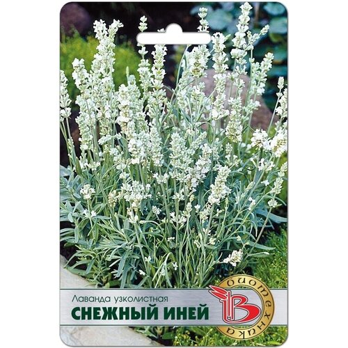 ���������� ������ ������� ����������� 