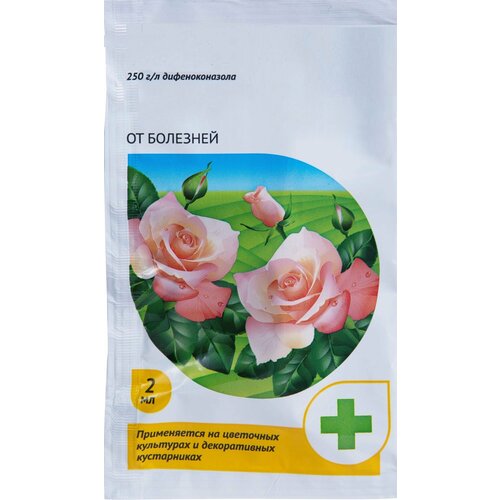 ���������� �������� �� �������� ��� � ������ ��������� �������, ������ 2 ��. ����������� �������� ��� ������ � ������������� ��������� ����, ����� ����� � ������ �����������