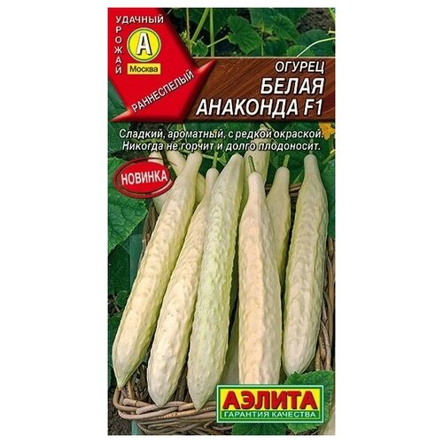 ���������� ������. ������ 