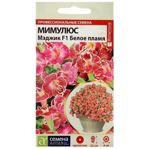 ���������� ������ ������ ����� ����� ������� ������ ����� �����, 10 ��