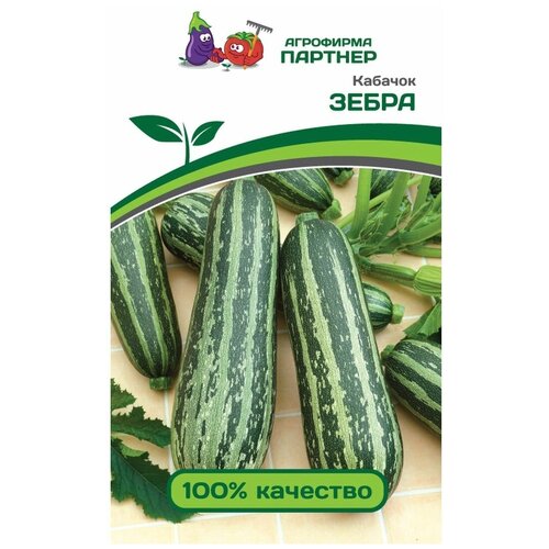 ���������� ������ ������� ������� ����� 10 �����