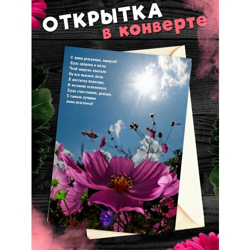 ���������� �������� �6 � �������� � ���� ��������, ����!