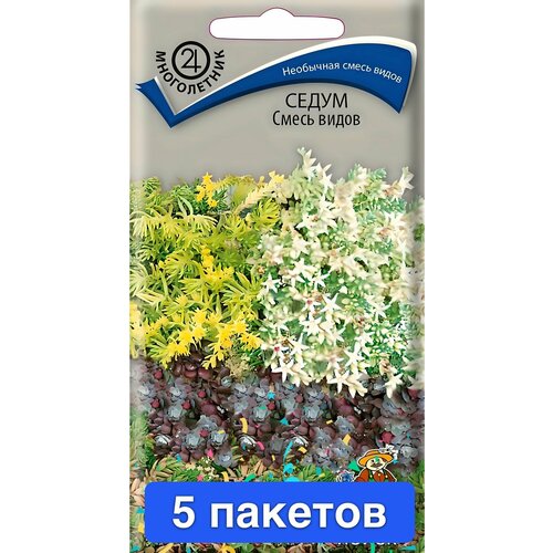 ���������� ������ ������ ����� 