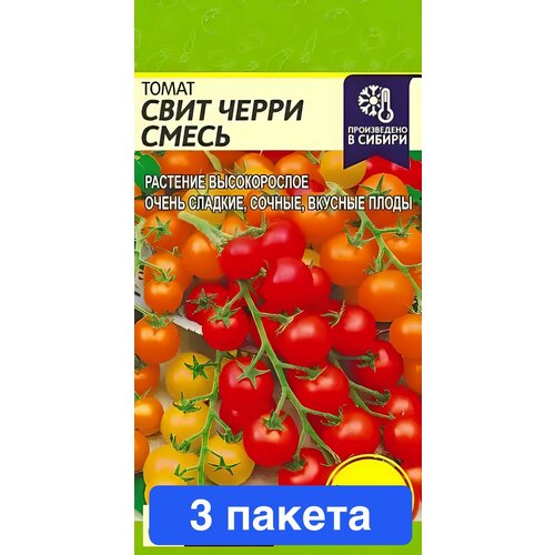 ���������� ������ ������ ������ ����� 