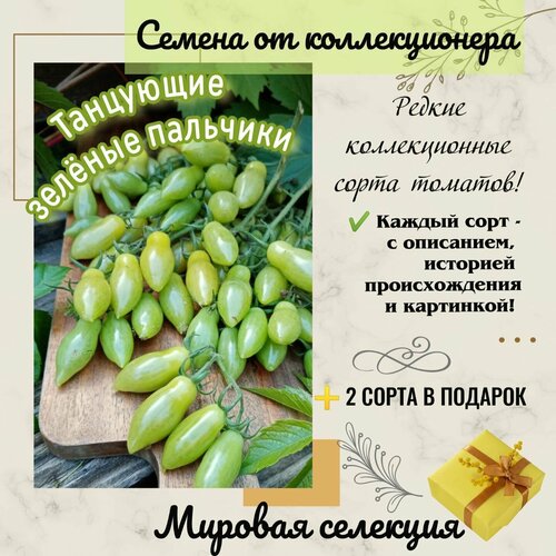 ���������� ����� 