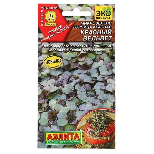 ���������� ������ ��������� ������ ����������� ������� ������� ������� 5 �