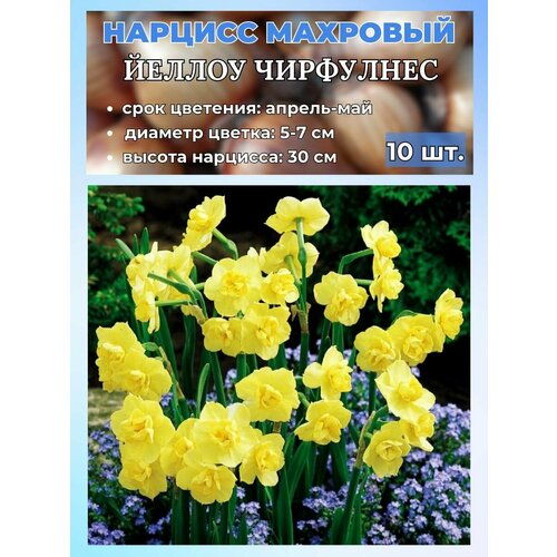 ���������� ������� ��������, �������� 10 ����