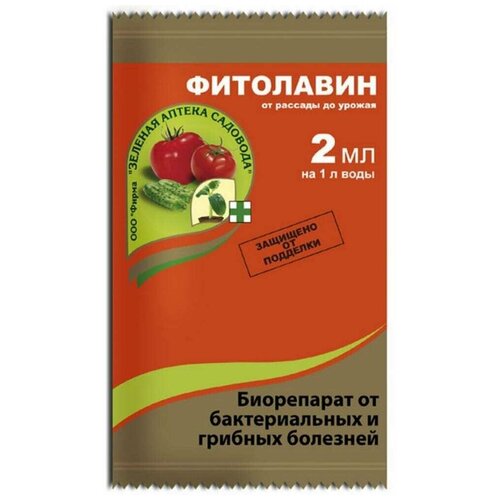 ���������� ������� ������ �������� ����������� �� ������������� � ������� �������� ���������, 2 ��, 4000 �