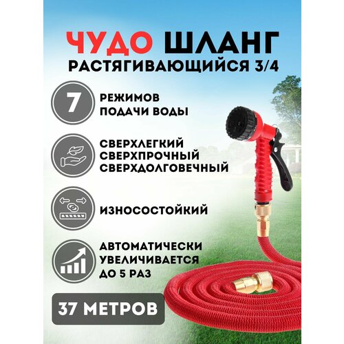 ���������� ����� 3/4 ������� ���������� ���������������