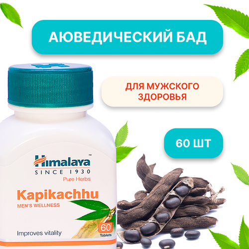 ���������� ������������� ������� ������� Himalaya Kapikachhu ��� �������� ��������, 60 ��������