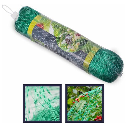 ���������� ����� INBLOOM ��� ������ ������ �� ���� 4�5�, ����������, �������